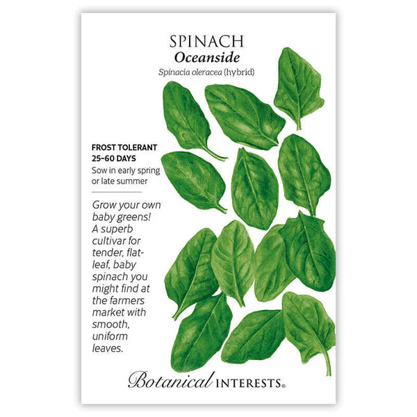Spinach Seed - Oceanside
