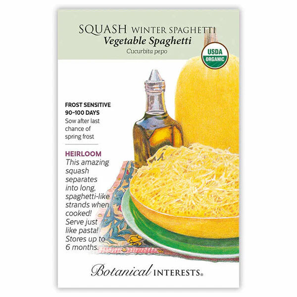 Squash, Winter Spaghetti Seed - Vegetable Spaghetti