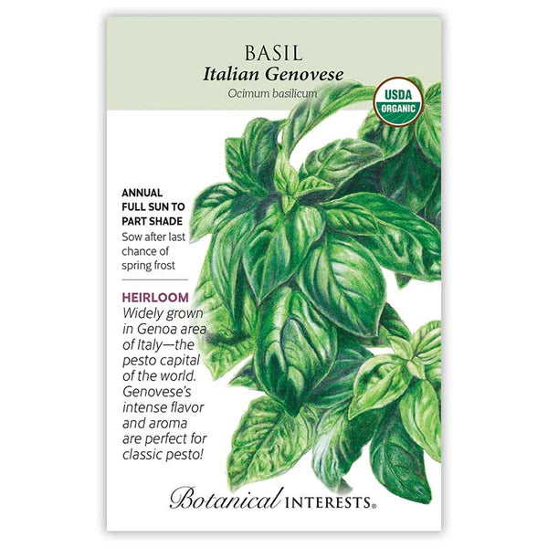 Basil Seeds - Italian Genovese