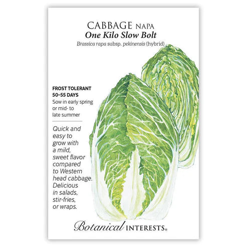 Also called napa cabbage, 'One Kilo Slow Bolt' has a delicate flavor, a soft texture in between that of lettuce and regular cabbage, and tight heads have a creamy yellow interior. Grows with ease in fall, and can be sown in spring if care is taken to protect young plants from temperatures of 50°F or below, which may cause plants to bolt. Grows best at 60°-65°F.