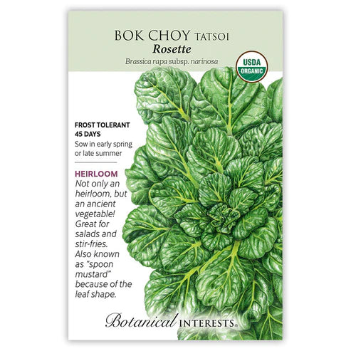 Believed to be of very ancient origin, the spoon-shaped, dark green, evenly spaced leaves make tatsoi a plant worthy to be grown for its decorative value alone! More nutritious (high calcium and vitamin content) and more flavorful (slightly mustard-like) than traditional bok choy; many consider it a superior flavor, and it is prized for its smooth texture. Very cold tolerant; withstands temperatures down to 15°F. Tatsoi can be harvested even when there is snow on the ground!