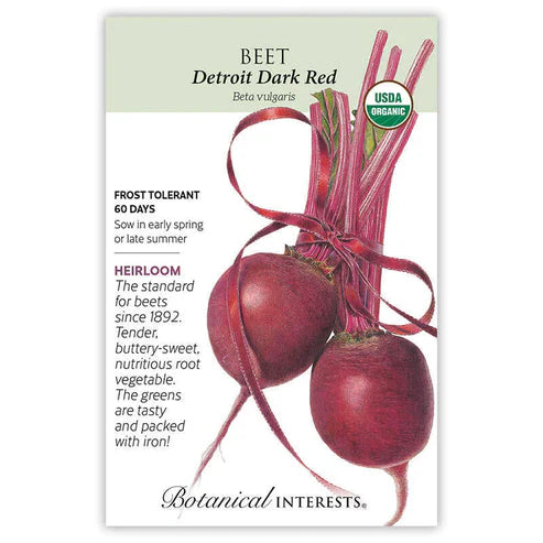 Home-grown beets are simply the best. Tender and delicious, these 2½"–3" beautiful, deep crimson beets do not get woody as do smaller varieties if allowed to grow large. Perfect for pickling, roasting, and even raw in salads! The greens rival chard and spinach for tenderness and flavor, and are very nutritious. Beet seed is actually a dried fruit with 1 to 5 seeds in each fruit, so make sure to thin!