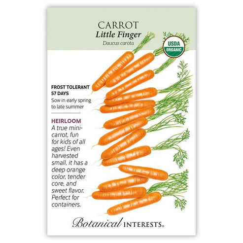 Did you know that grocery store baby carrots are actually cut from regular sized carrots? Once you try the sweet flavor and crisp bite of this 3" long, true baby carrot, you will never look back! Though it tastes great fresh from the garden, 'Little Finger' was developed in France for pickling and canning whole.