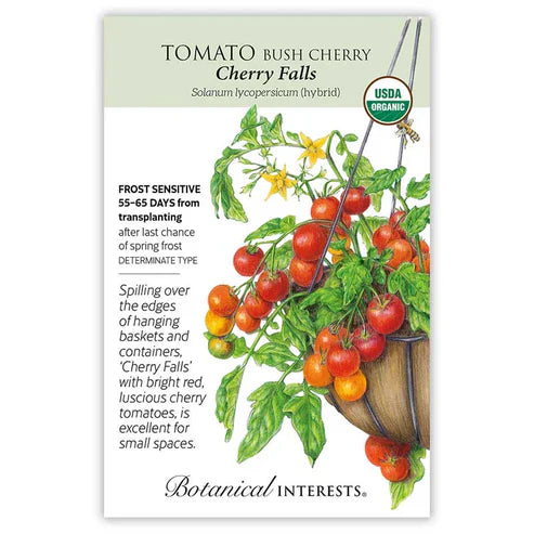 Cherry Falls' is where beauty and function meet. Compact plants are perfect for containers and large hanging baskets where the vines displaying the abundant clusters of 1½", bright red tomatoes are quite ornamental. Vigorous vines produce an abundant crop throughout the growing season. Quick to mature, you will be enjoying this delicious cherry tomato in no time!