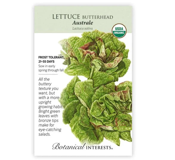 Lettuce, Butterhead Seed - Australe