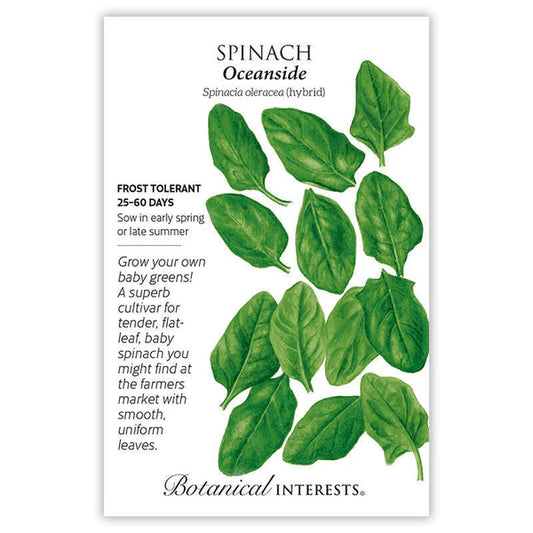 Spinach Seed - Oceanside