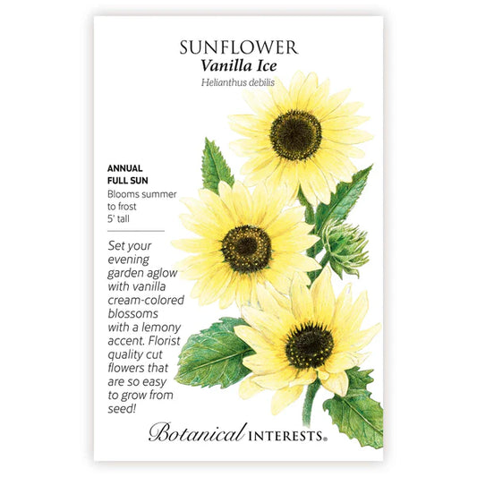 Sunflower Seed - Vanilla Ice