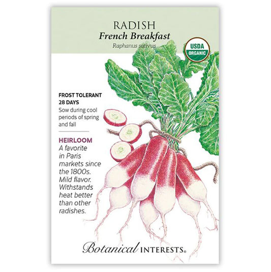 Radish Seed - French Breakfast