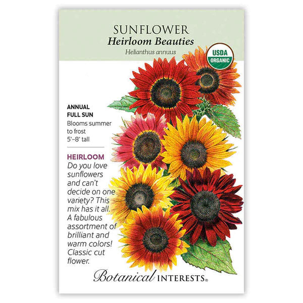 Sunflower Seed - Heirloom Beauties