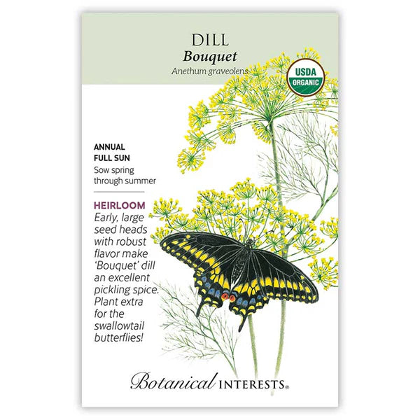 Dill Seeds - Bouquet