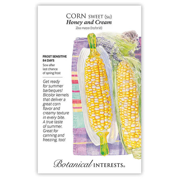 Corn, Sweet Seed - Honey and Cream