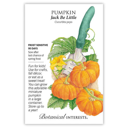 Decorate with paint or glitter for pretty accents, or fill with your favorite stuffing, casserole, soup, or custard for a fun appetizer. These tiny, delicious pumpkins are 3"â€“4" across and 2" tall. Compact vines (3'â€“5' long) grow 6â€“10 fruits on each plant. Can be grown in a large container and trellised to grow vertically. When growing in containers, use one that is at least 5 gallons, and 18" deep; only 1 plant per container.