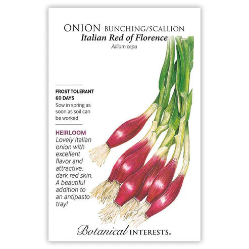 This old Italian heirloom is commonly used in Italy for pinzimonio, a colorful mixture of raw vegetables served with a separate bowl of olive oil, vinegar, and salt. Use this colorful, torpedo-type, young red onion in almost any dish requiring onions. Hard to find in grocery stores, so grow it at home!