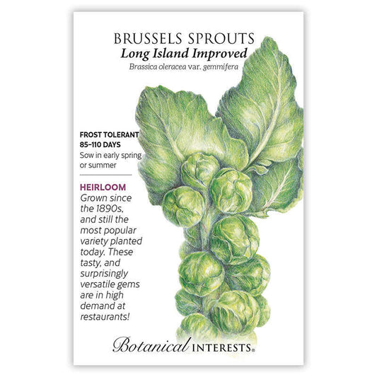 Modern chefs have transformed this historically disliked vegetable into a much-sought-after food that is delicious deep fried, steamed, or roasted. Give them plenty of water, nutrients, and time to grow before they begin forming sprouts. Covering plants with row covers after sowing/transplanting will help exclude pests. You can leave plants in the garden into the winter, as they are hardy to 10Â°F; frost actually improves the flavor. The plants resemble little palm trees.
