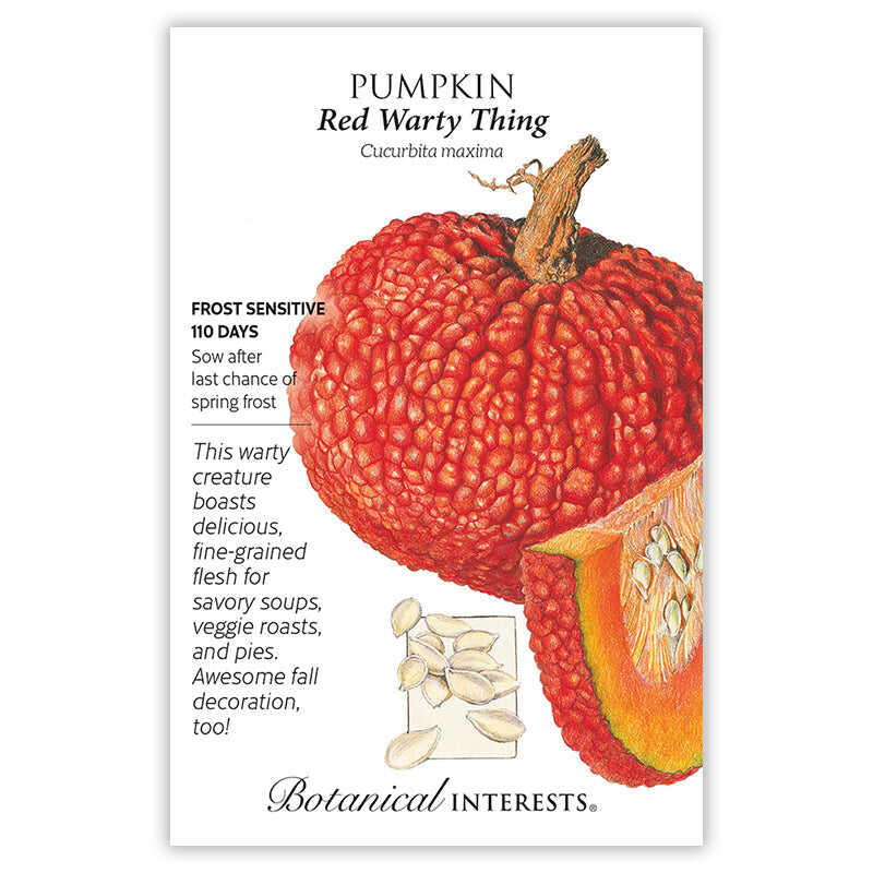 Developed from the 1897 heirloom 'Victor', which spent years in storage at the U.S. Seed Bank. Peculiar looking, but renowned for delicious flavor and fine texture. The bumpy, thick, red-orange skin protects the 10â€“20 pound pumpkins, allowing them to store for many months. Whether you carve it or eat it, 'Red Warty Thing' is sure to receive a lot of oohs and ahhs! 1â€“2 fruits on 10'â€“15' vines.