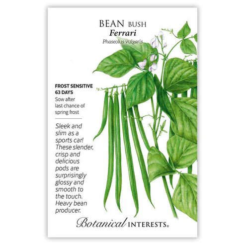 These dark green, glossy beans are stringless and smooth, they develop early, and are fantastic fresh, steamed, pickled, or frozen to enjoy all winter! Compact plants are great for container gardening. Disease resistant.