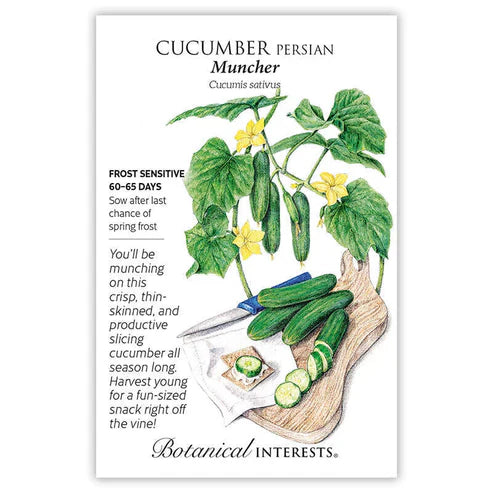 This mini-cucumber is a match made in heaven with your charcuterie board! A slicing variety, 'Muncher' produces tender, burpless, smooth cucumbers with thin skin and a crisp bite. High yielding and ready to pick at 5'' long, this versatile variety is delicious eaten fresh or pickled when young. Resistant to cucumber mosaic, powdery mildew, alternaria leaf spot, and anthracnose.