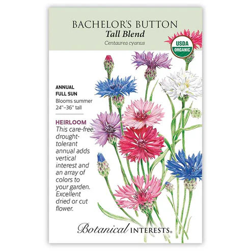 Bachelor's button, also known as "cornflower", is drought tolerant and needs little pampering. Flowers are great for cutting or drying and the edible petals are beautiful sprinkled on a salad. Bachelor's button will "naturalize"; it self-sows for another crop of flowers the following season, and birds love the seed heads! Attracts pollinators and beneficial insects.