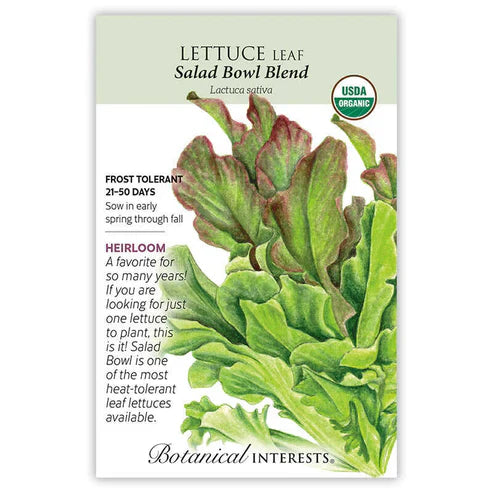 Fill your bowl with the mixed colors of Salad Bowl Blend! This blend has it allâ€“great flavor, good looks, and heat tolerance. Harvest young for terrific baby greens. 'Green Salad Bowl' won the All-America Selections award in 1952, and 'Red Salad Bowl' won the Award of Garden Merit from the Royal Horticultural Society in 1995. Successive sowings will produce sweet lettuce spring through late fall! We've filled this packet with a whopping 2.5 grams of seed, enough for a small, fresh greens farm! 