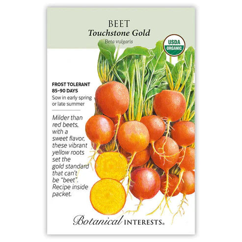 Not only does the color of this beet make it stand apart, but so does the flavor. Golden beets are known for being extra sweet and less "earthy" than their red counterparts. Grown alongside red, white, and candy-striped beets, your harvest will create a playful plate of color at the table. Improved germination and performance over other golden cultivars. Best at 1"â€“3" round.