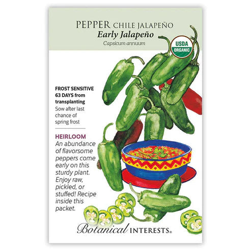 Lots of bold flavor in a small, 3" pepper, 'Early Jalapeño' is better adapted to cooler climates than other jalapeños. Incredibly versatile, they're hot enough to add a little kick to your favorite dish, but mild enough for any meal. Enjoy green or allow to ripen to red for a sweeter, bolder flavor. Jalapeños rate 2,500–5,000 Scoville heat units (medium hot).