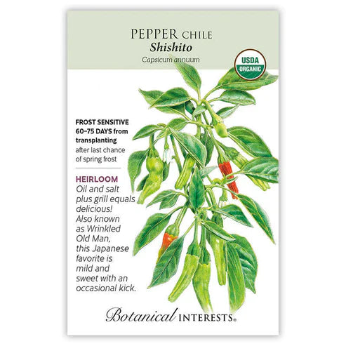The 'Shishito' is finding its way into many restaurants as a popular appetizer. The 2"â€“4" slender peppers have a citrusy, slightly smoky flavor enhanced by grilling or sautÃ©ing, and can be the life of the party when an occasional hot one passes the mouth of the unsuspecting. Highly productive plants. 50â€“200 Scoville heat units (mild).