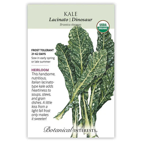 This tender kale is also known as black Tuscan kale, black cabbage, and black palm. Vigorous dark green to black leaves of this 18th century heirloom are favored by gourmets. Harvest the first shoots as tender young salad greens in just 21 days when 2"â€“4" tall, or achieve full-sized plants in 2 months. Try Kale & Pasta and Tuscan Kale Pesto recipes inside this packet.