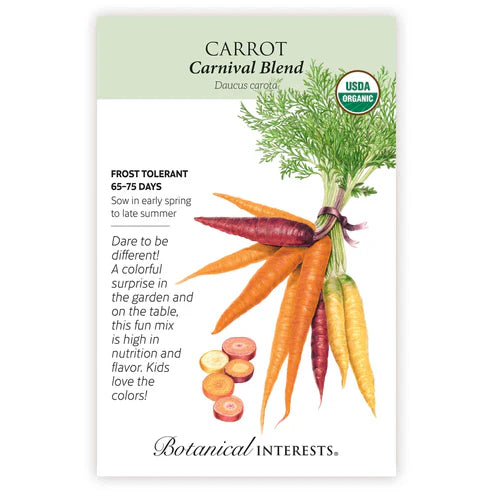 Grown and eaten in Asia and Europe 1,000 years ago, these colorful carrots are available once again. Just like the popular orange carrots, red, purple, and yellow carrots contain plenty of vitamin A and other healthful nutrients. Carnival Blend carrots can also be harvested when only 3"–4" long for gourmet baby carrots.