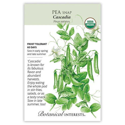 Homegrown peas taste so much better than store bought peas! Like snap or green beans, pods and all are consumed! 'Cascadia' has 3" long, deep green, thick, juicy pods that are very flavorful. Serve raw with dip, steam, or stir fry. Short, 30" vines are self-supporting. Resists powdery mildew and pea enation virus, making it an excellent choice for late summer sowing as well.